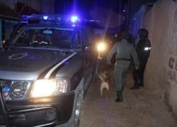 تفكيك أخطر شبكة للتهريب الدولي بإقليم الفحص أنجرة .