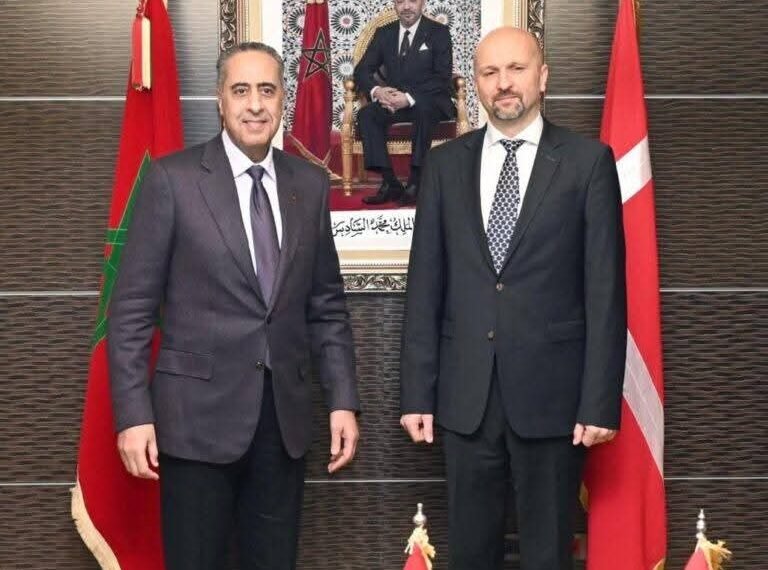 حموشي يوطد التعاون الأمني مع الدانمارك .