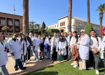 **صرخة من خريجي شعبة المساعدة في المجال الطبي الاجتماعي – دفعة 2025 .