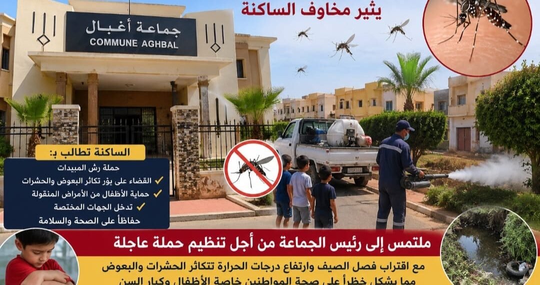 انتشار البعوض والحشرات بجماعة أغبال عمالة بركان يثير استياء الساكنة ويستدعي تدخلاً عاجلاً.