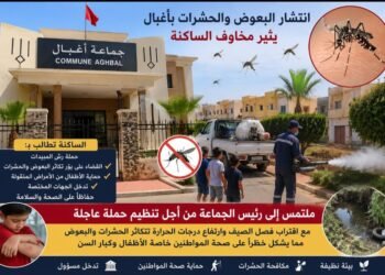 انتشار البعوض والحشرات بجماعة أغبال عمالة بركان يثير استياء الساكنة ويستدعي تدخلاً عاجلاً.