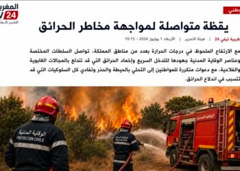 يقظة متواصلة لمواجهة مخاطر الحرائق مع ارتفاع درجات الحرارة .